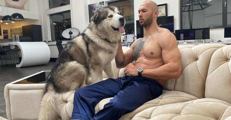 Листата на средства што ја промениле неговата судбина: Осум девојки, стан, БМВ, знаење во шах