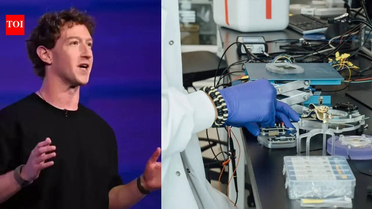 Chan Zuckerberg Biohub вложува 500 милиони долари за да создаде вештачка интелигенција што ќе моделира човечки клетки