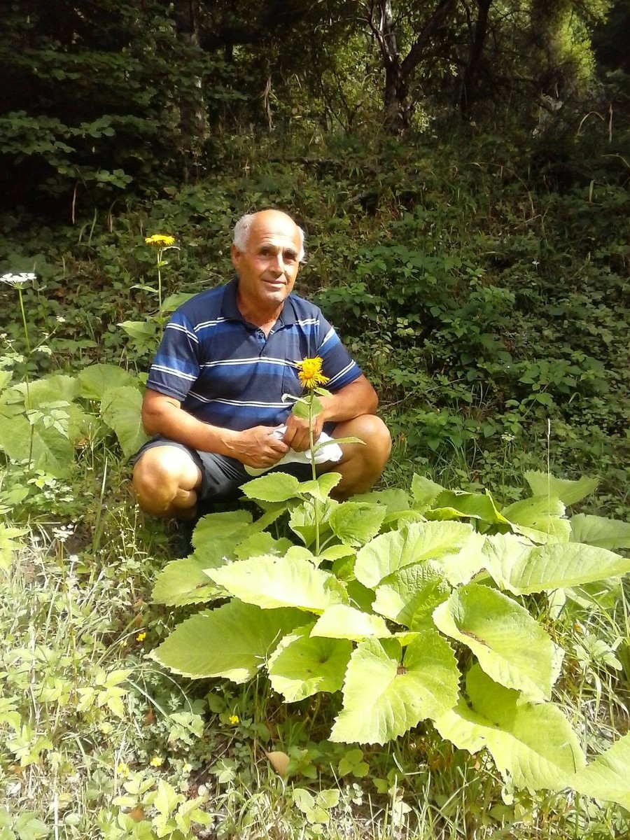11. Групата „Здравје од природата“ има илјадници членови, дали очекувавте таков одзив кога ја отворивте?