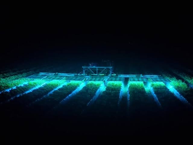 Ноќната смена е клучот бидејќи UV-C светлината работи подобро во темни услови