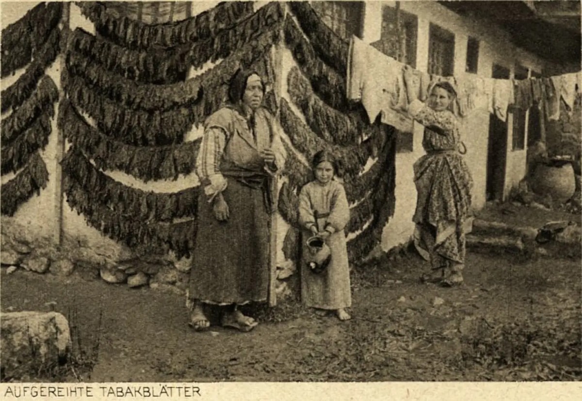 440 фотографии од Македонија завршиле пред германските читатели среде Првата светска војна