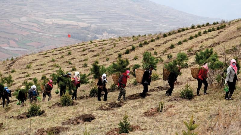 По 30 до 40 години предноста нагло опаѓа
