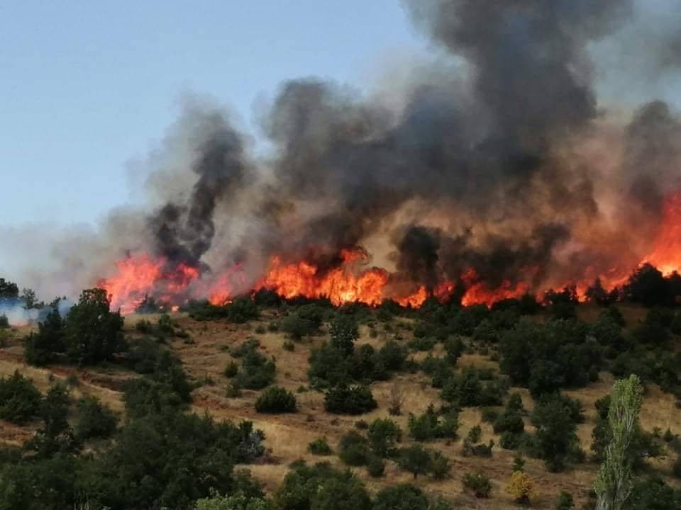 PM2.5, NO2, озон, ароматични јаглеводороди и олово во истиот облак