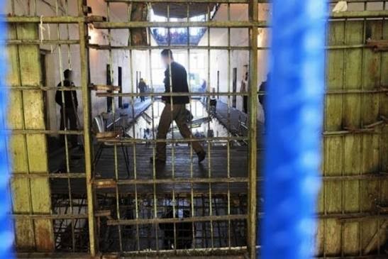„Македонски шуми“ и КПУ „Затвор“ – Струмица потпишаа меморандум за соработка