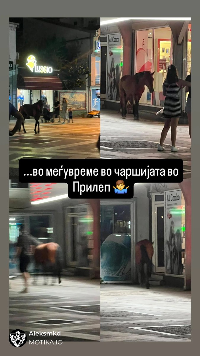 Во Прилеп кога ќе кажеш дека вечерта ти се пуштил еден коњ не значи исто како во другите градови