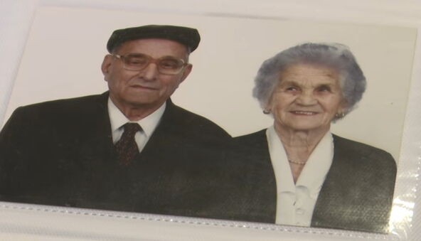 Четири одделенија училиште и два животни факултети